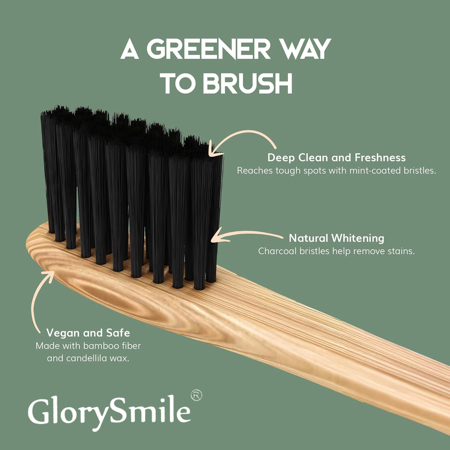 성인용 대나무 칫솔 – 숯이 함유된 부드러운 칫솔모가  - Bamboo Toothbrush 리뷰 및 가격