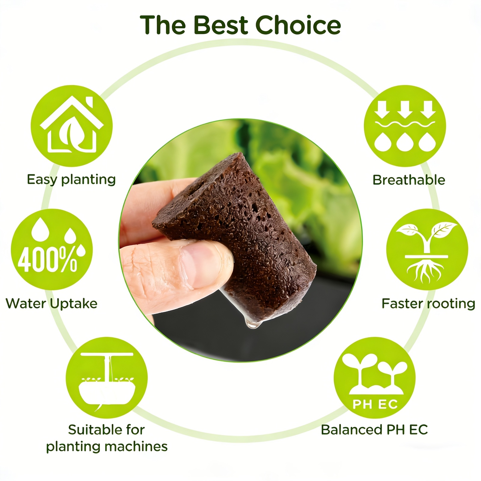 정원 덮개 성장 스펀지 스타터 플러그 20개 묶음 묘목 - Eco Sponge 리뷰 및 가격