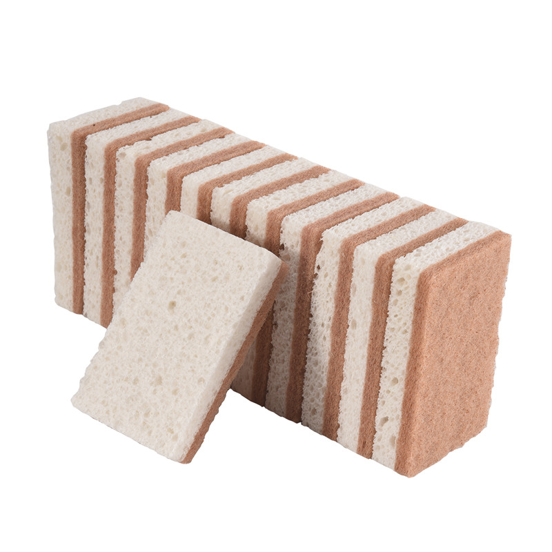 친환경 천연 설거지 스펀지 12개입 - 생분해성 주방  - Eco Sponge 리뷰 및 가격