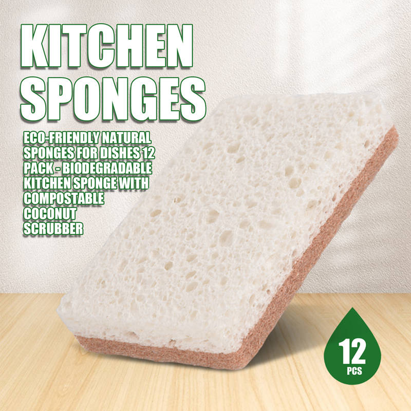친환경 천연 설거지 스펀지 12개입 - 생분해성 주방  - Eco Sponge 리뷰 및 가격